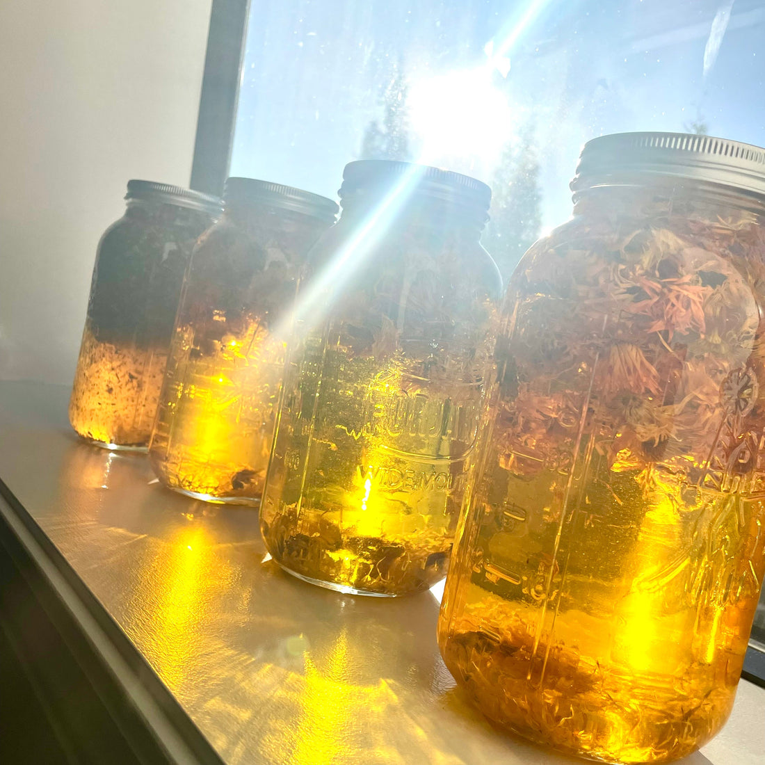 Solar-infused calendula oil and peptides – natural actives in Aureterra’s anti-aging cream