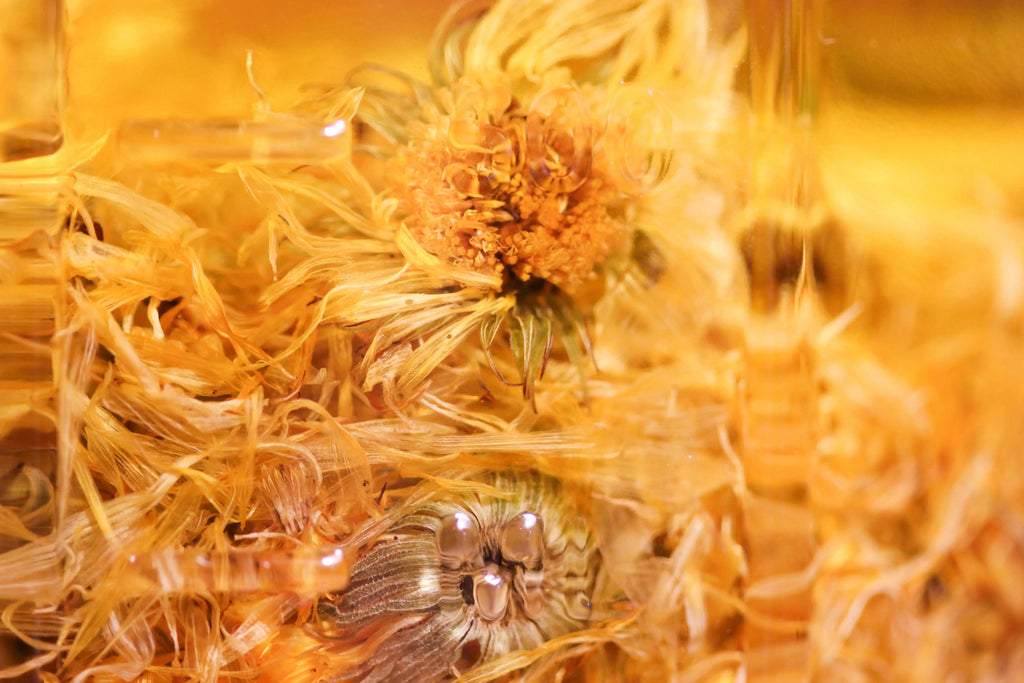 a close up of a bunch of yellow flowers